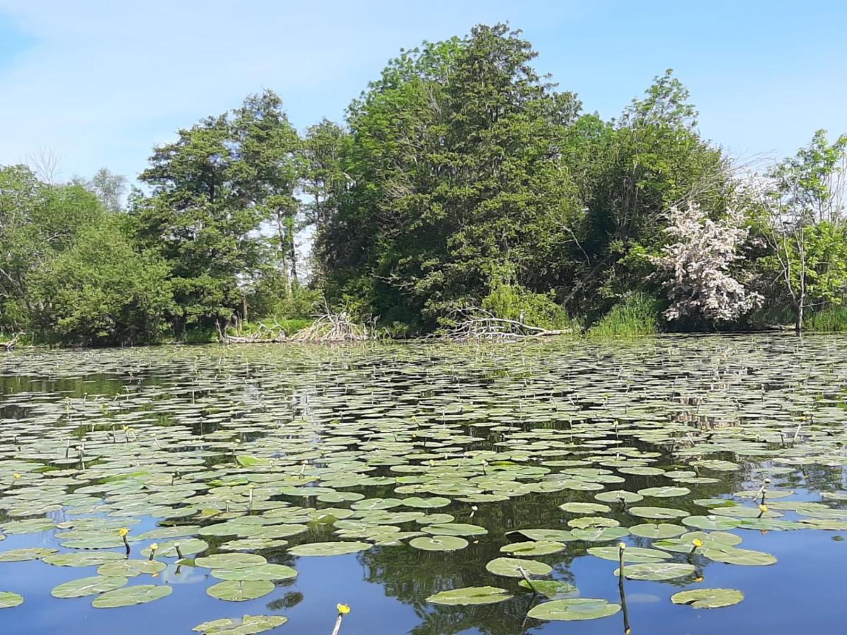 Havelstern Ketzin, Ferienhaus Zander Bagian luar foto